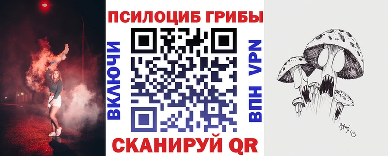 цена наркотик  Вытегра  блэк спрут ссылки  Галлюциногенные грибы MAGIC MUSHROOMS 